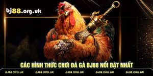 Các hình thức chơi đá gà BJ88 nổi bật nhất