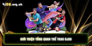 Giới thiệu tổng quan thể thao BJ88