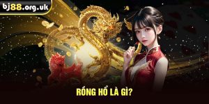 Rồng hổ là gì?