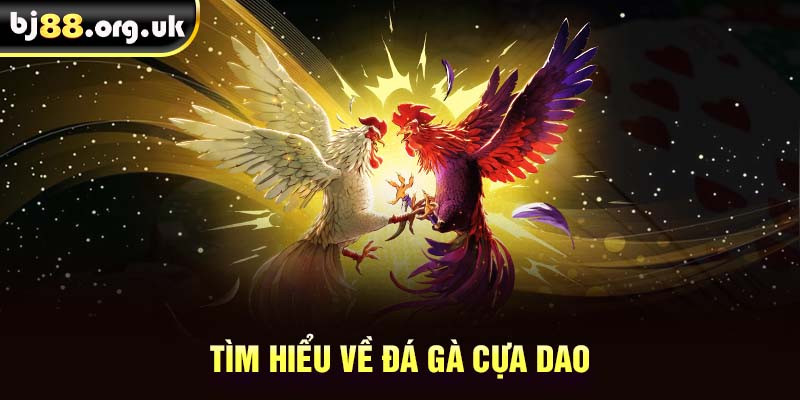 Tìm hiểu về đá gà cựa dao