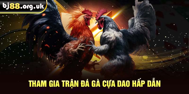 Tham gia trận đá gà cựa dao hấp dẫn