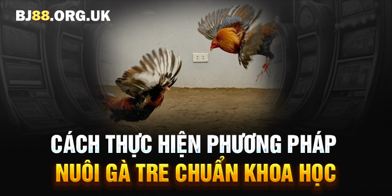 Cách thực hiện phương pháp nuôi gà tre chuẩn khoa học